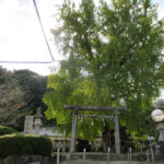6.丹生酒殿神社